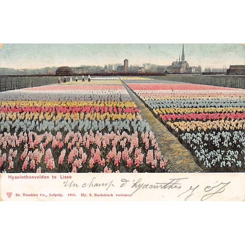 Rare collectable postcards of Netherlands. Vintage Postcards of Netherlands