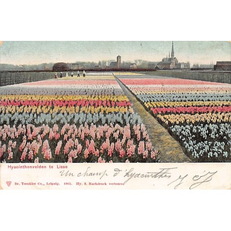 Rare collectable postcards of Netherlands. Vintage Postcards of Netherlands