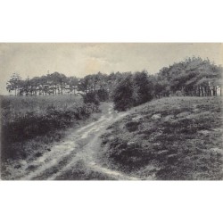 Rare collectable postcards of Netherlands. Vintage Postcards of Netherlands