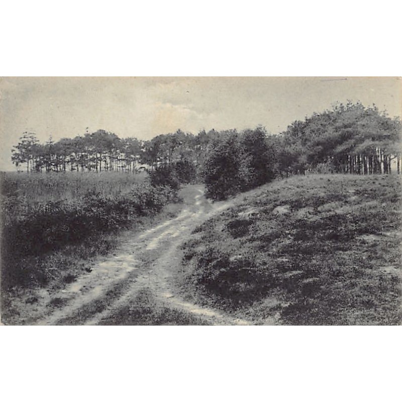 Rare collectable postcards of Netherlands. Vintage Postcards of Netherlands
