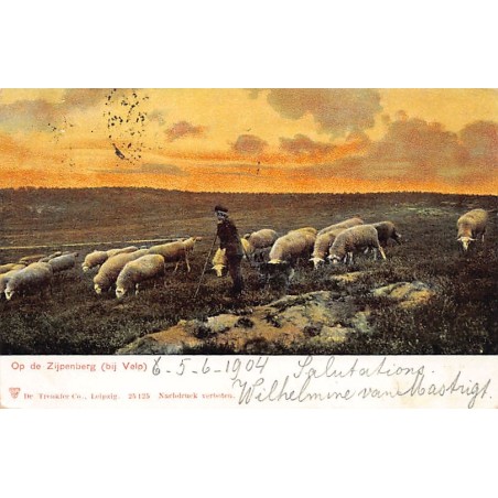 Rare collectable postcards of Netherlands. Vintage Postcards of Netherlands