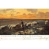 Rare collectable postcards of Netherlands. Vintage Postcards of Netherlands