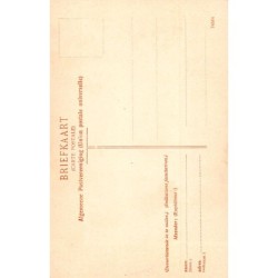 Rare collectable postcards of Netherlands. Vintage Postcards of Netherlands