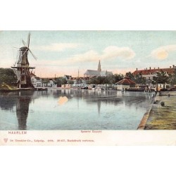 Rare collectable postcards of Netherlands. Vintage Postcards of Netherlands