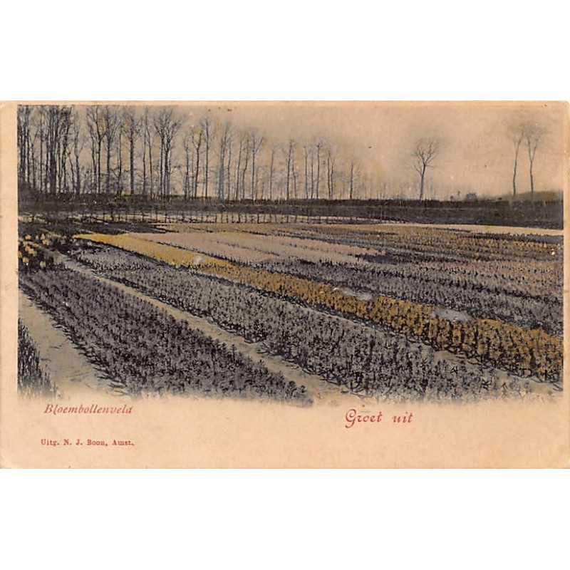 Rare collectable postcards of Netherlands. Vintage Postcards of Netherlands