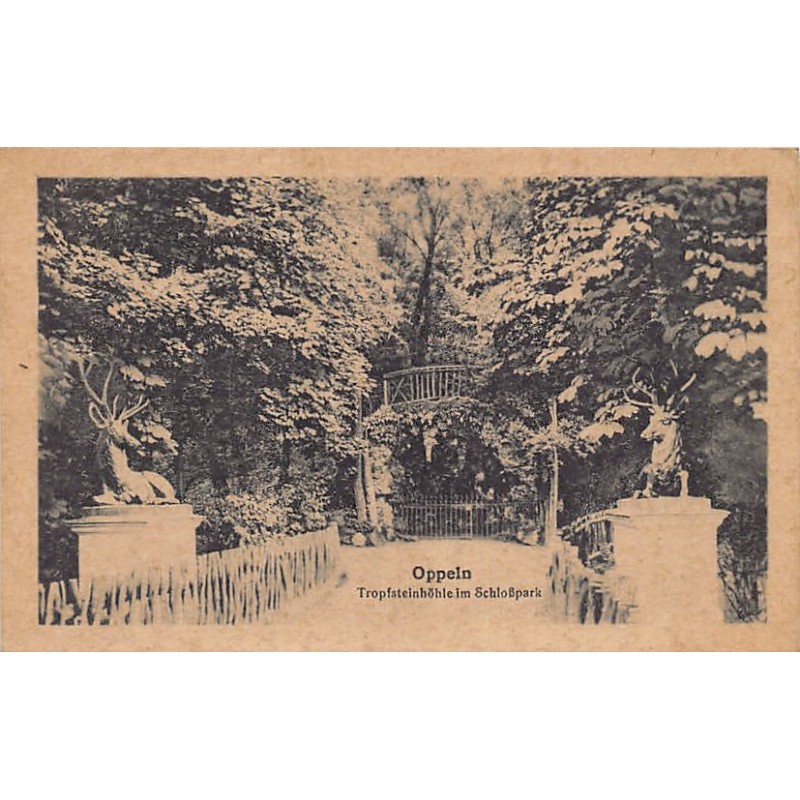 Rare collectable postcards of Poland. Vintage Postcards of Poland