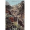 Rare collectable postcards of French Polynesia. Vintage Postcards of French Polynesia