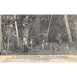 Rare collectable postcards of New Caledonia. Vintage Postcards of New Caledonia