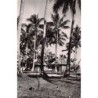 Rare collectable postcards of New Caledonia. Vintage Postcards of New Caledonia