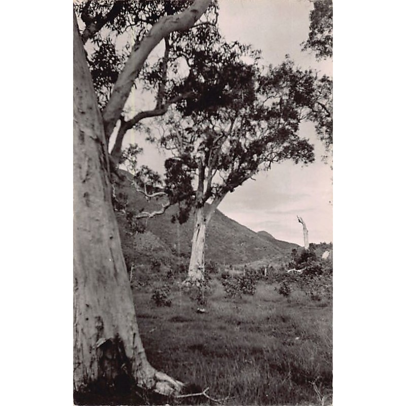 Rare collectable postcards of New Caledonia. Vintage Postcards of New Caledonia
