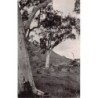 Rare collectable postcards of New Caledonia. Vintage Postcards of New Caledonia