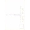 Rare collectable postcards of New Caledonia. Vintage Postcards of New Caledonia