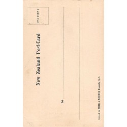 Rare collectable postcards of New Zealand. Vintage Postcards of New Zealand