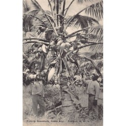 Rare collectable postcards of Antigua. Vintage Postcards of Antigua
