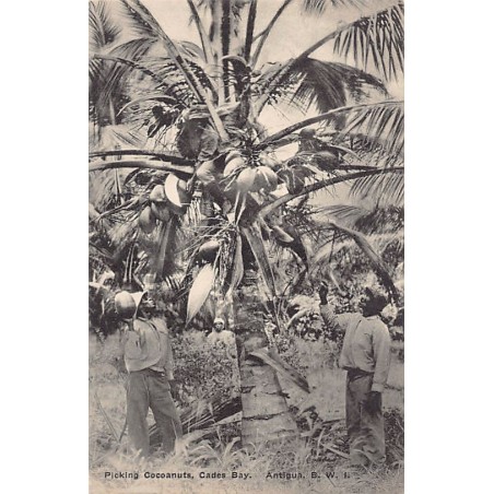 Rare collectable postcards of Antigua. Vintage Postcards of Antigua
