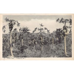 Rare collectable postcards of Curacao. Vintage Postcards of Curacao