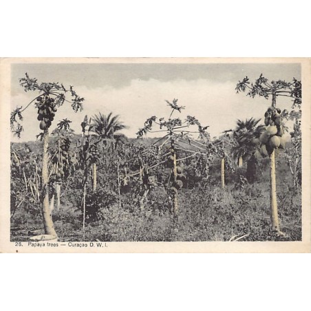 Rare collectable postcards of Curacao. Vintage Postcards of Curacao