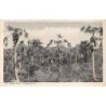 Rare collectable postcards of Curacao. Vintage Postcards of Curacao