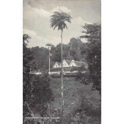 Rare collectable postcards of Saint Vincent. Vintage Postcards of Saint Vincent