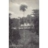 Rare collectable postcards of Saint Vincent. Vintage Postcards of Saint Vincent