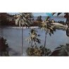 Rare collectable postcards of Guadeloupe. Vintage Postcards of Guadeloupe