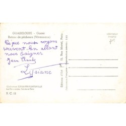 Rare collectable postcards of Guadeloupe. Vintage Postcards of Guadeloupe
