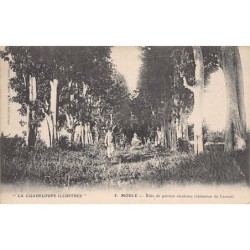 Rare collectable postcards of Guadeloupe. Vintage Postcards of Guadeloupe