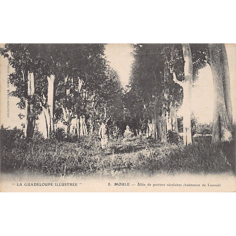 Rare collectable postcards of Guadeloupe. Vintage Postcards of Guadeloupe