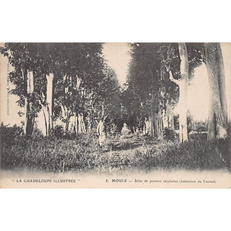 Rare collectable postcards of Guadeloupe. Vintage Postcards of Guadeloupe
