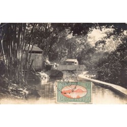 Rare collectable postcards of Guadeloupe. Vintage Postcards of Guadeloupe