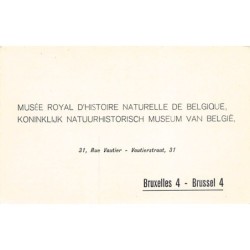 Rare collectable postcards of Belgium. Vintage Postcards of Belgium