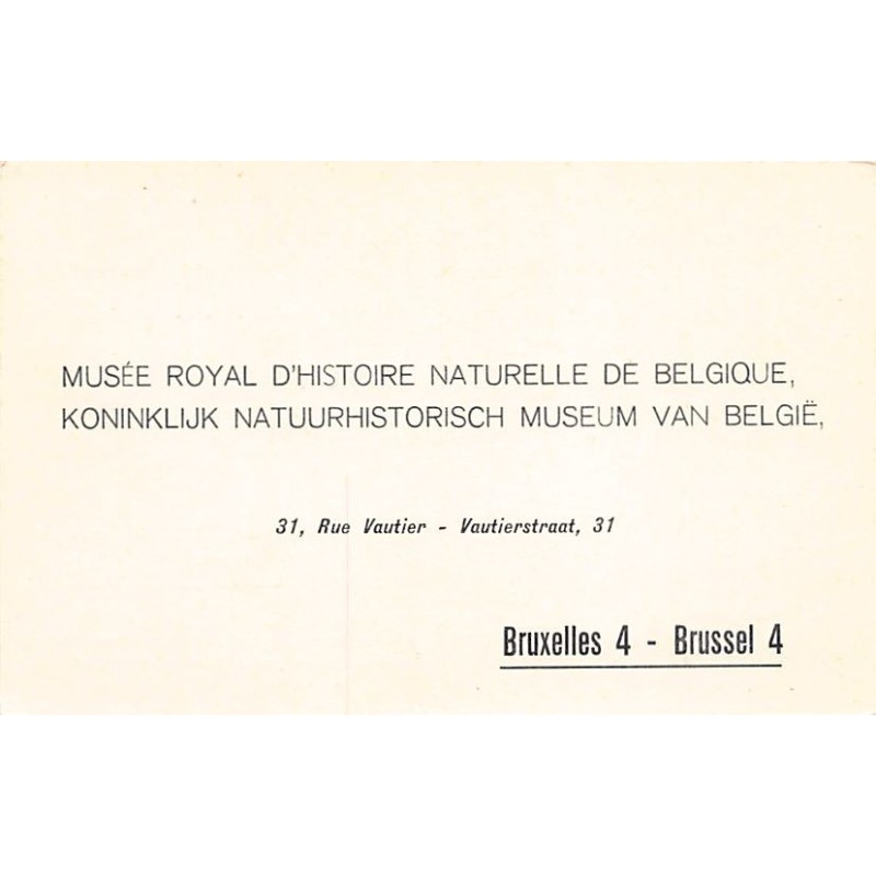 Rare collectable postcards of Belgium. Vintage Postcards of Belgium