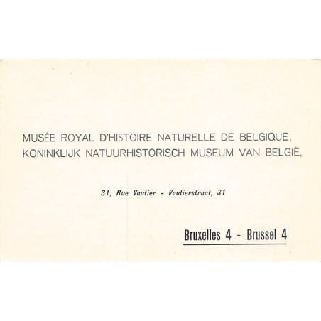 Rare collectable postcards of Belgium. Vintage Postcards of Belgium