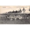 Rare collectable postcards of Belgium. Vintage Postcards of Belgium