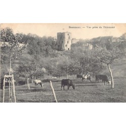 Rare collectable postcards of Belgium. Vintage Postcards of Belgium