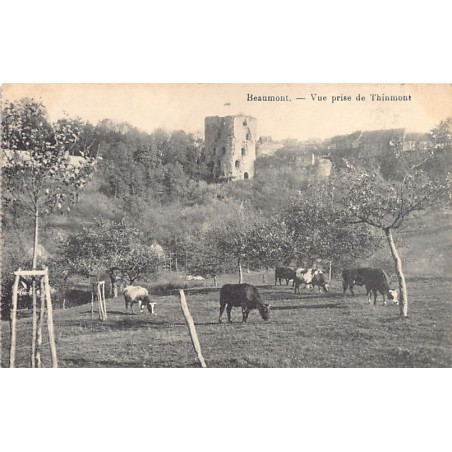 Rare collectable postcards of Belgium. Vintage Postcards of Belgium