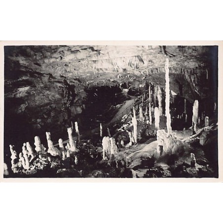 Rare collectable postcards of SLOVENIA. Vintage Postcards of SLOVENIA