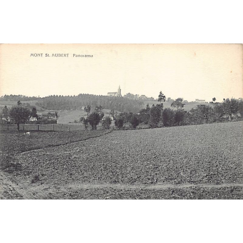 Rare collectable postcards of Belgium. Vintage Postcards of Belgium