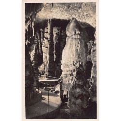 Rare collectable postcards of SLOVENIA. Vintage Postcards of SLOVENIA