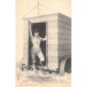 Rare collectable postcards of Belgium. Vintage Postcards of Belgium