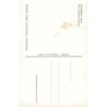 Rare collectable postcards of SLOVENIA. Vintage Postcards of SLOVENIA