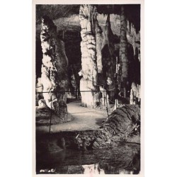 Rare collectable postcards of SLOVENIA. Vintage Postcards of SLOVENIA