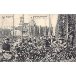Rare collectable postcards of Belgium. Vintage Postcards of Belgium