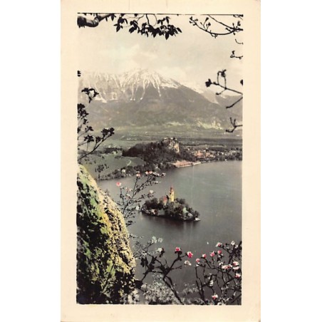 Rare collectable postcards of SLOVENIA. Vintage Postcards of SLOVENIA