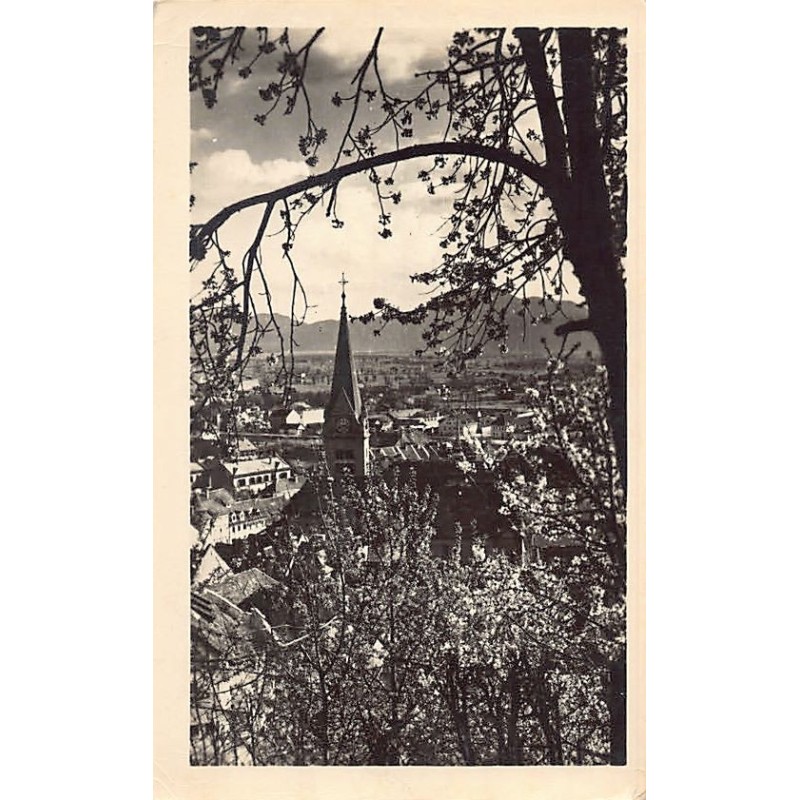 Rare collectable postcards of SLOVENIA. Vintage Postcards of SLOVENIA