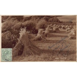 Rare collectable postcards of United Kingdom - England. Vintage Postcards of United Kingdom - England