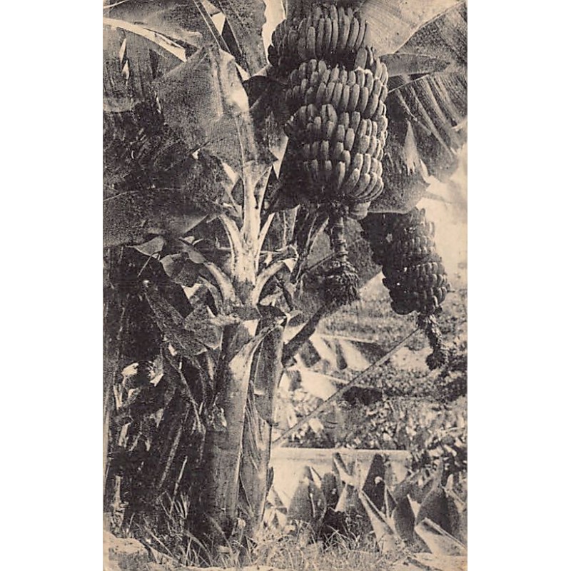 Rare collectable postcards of Spain. Vintage Postcards of Spain