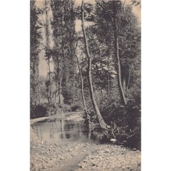 Rare collectable postcards of Switzerland. Vintage Postcards of Switzerland