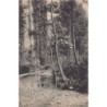 Rare collectable postcards of Switzerland. Vintage Postcards of Switzerland