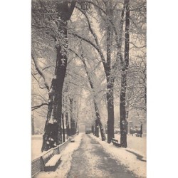 Rare collectable postcards of Switzerland. Vintage Postcards of Switzerland